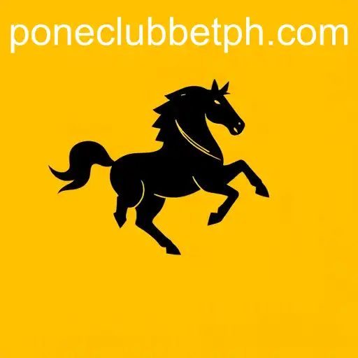 Gaming Experience pone club casino - 800+ Premium and Exclusive Games