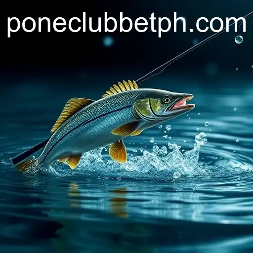 Gaming Experience pone club casino - 800+ Premium and Exclusive Games